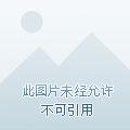 我在大明养生百年免费阅读