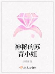 主人公叫苏青的叫什么