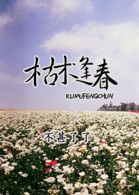 枯木逢春犹再发人无两度再少年什么意思